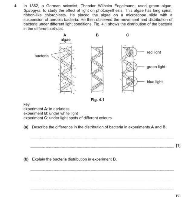 Nanyang NYGH Sec 3 IP (Year 3 Integrated Programme) Biology Exam Papers (soft copy) - Image 2
